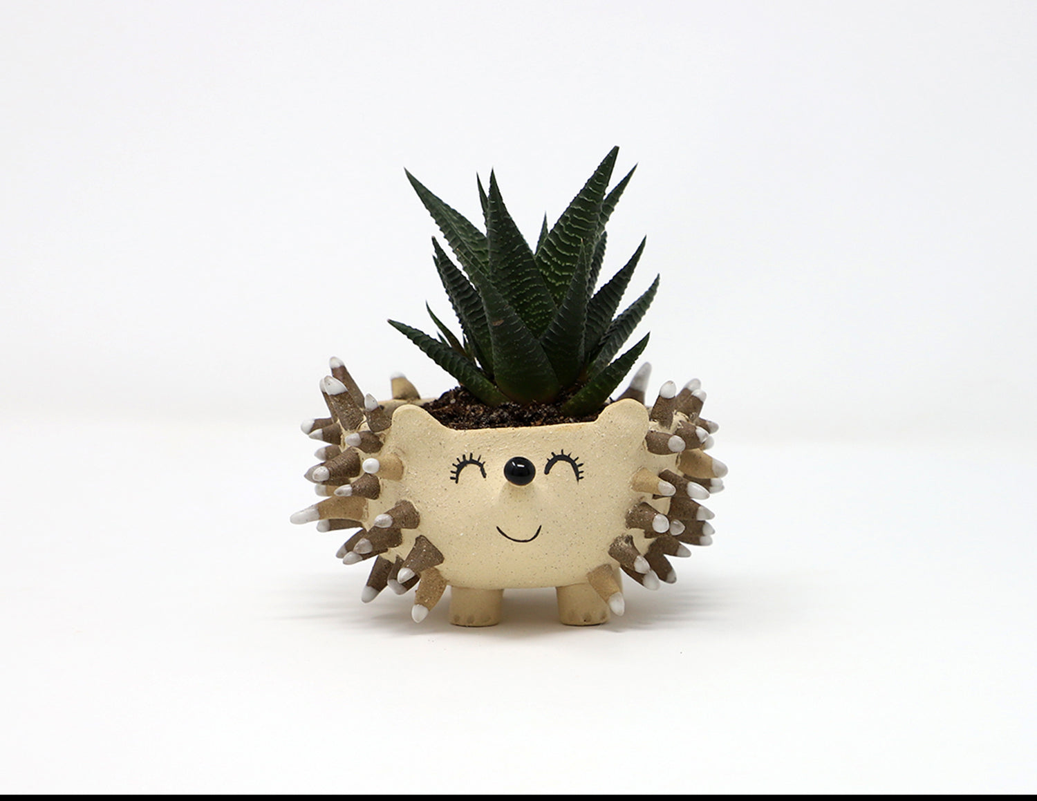 hedgehog succulent pot Hedgehog Planter – Erin West Ceramics