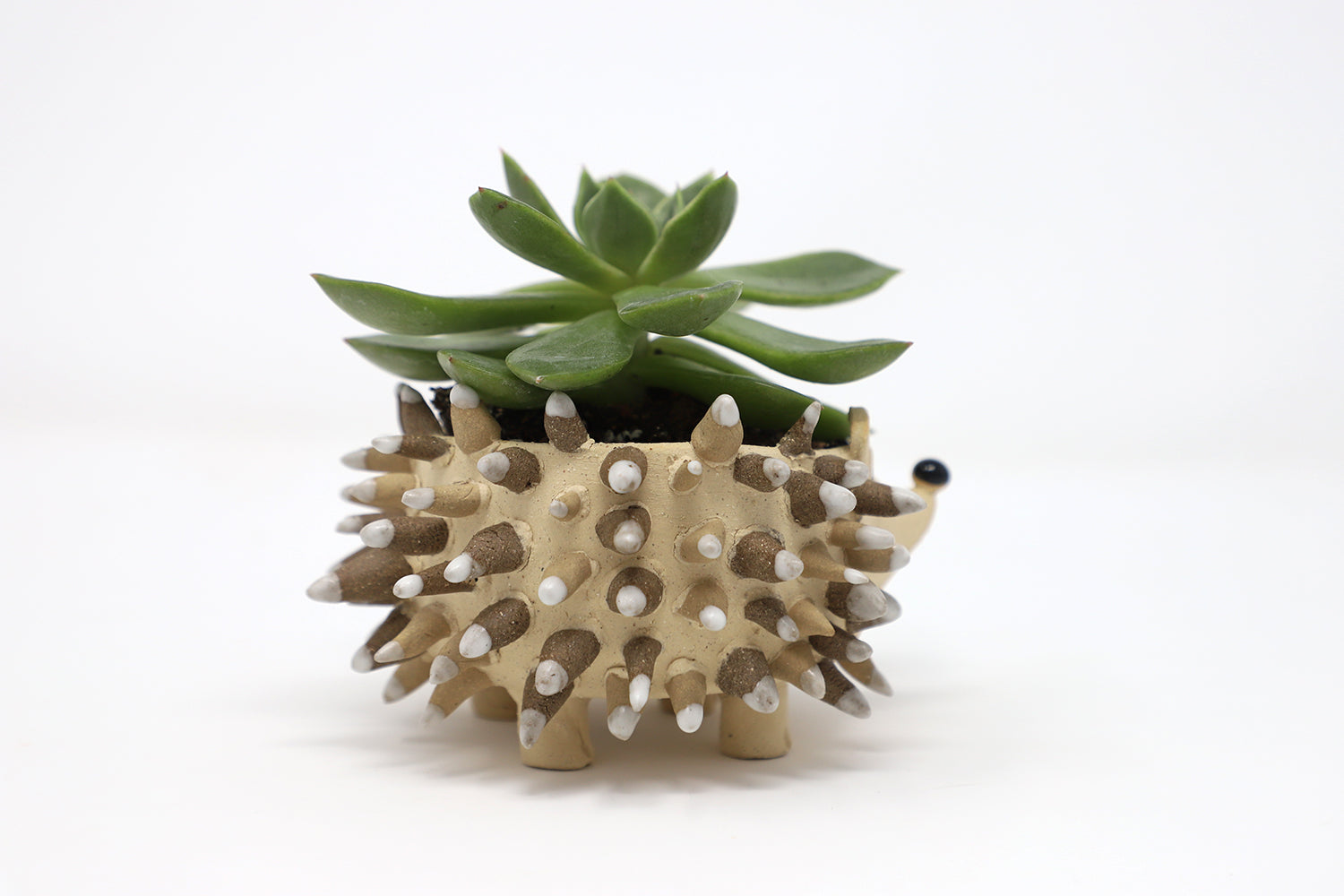 hedgehog succulent planter Hedgehog Planter – Erin West Ceramics